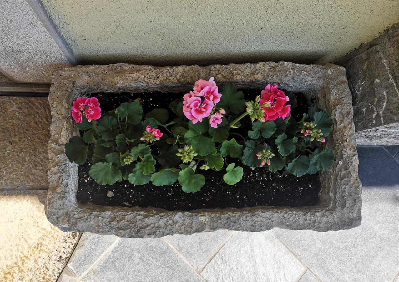 Sežana Apartment Trieste Hermes Art מראה חיצוני תמונה
